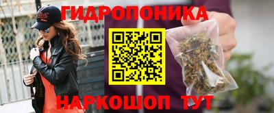 сатива Апшеронск