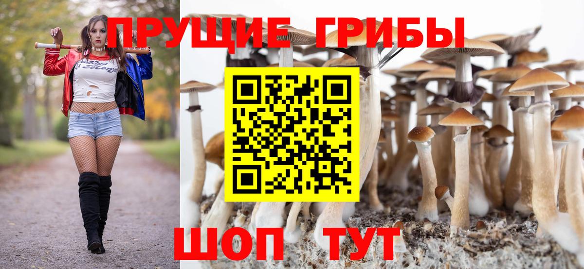Галлюциногенные грибы Psilocybe  Вход с VPN  Борзя 